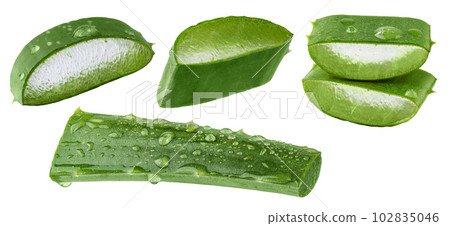 Fresh Aloe vera slice with aloe vera gel drops isolated on white background. Aloe vera leaf slice for design of herbal medicine or skin care treatment. 102835046