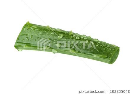 Fresh Aloe vera slice with aloe vera gel drops isolated on white background. Aloe vera leaf slice for design of herbal medicine or skin care treatment. 102835048