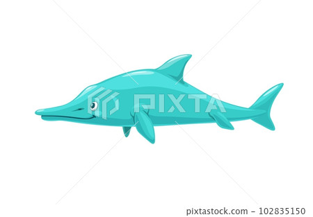 Cartoon ichthyosaurus dinosaur character. Isolated vector large extinct marine reptile from Early Triassic to Late Cretaceous period. Stenopterygius quadriscissus swimming ocean wildlife creature 102835150