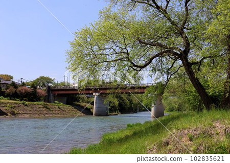 廣瀨川的風景、河床的自然 102835621