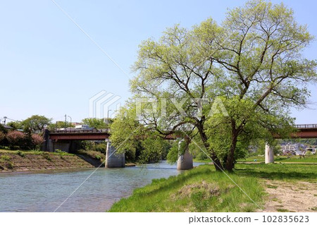 廣瀨川的風景、河床的自然 102835623