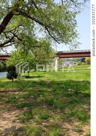 Scenery of the Hirose River, nature of the riverbed 102835777