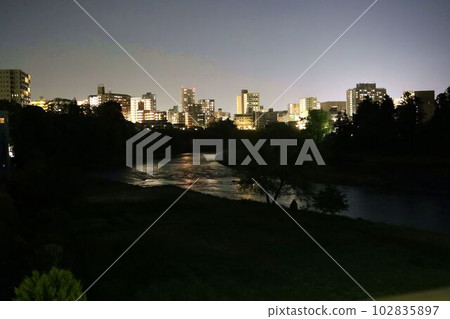 Night scenery around the Hirose River 102835897