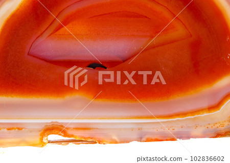Macro mineral orange agate in crystals on white background 102836602