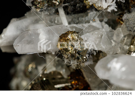 Macro mineral stone Galena, Sphalerite, Pyrite, Quartz on a black background Macro mineral stone Galena, Sphalerite, Pyrite, Quartz on a black background 102836624