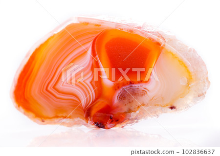 Macro mineral orange agate in crystals on white background 102836637