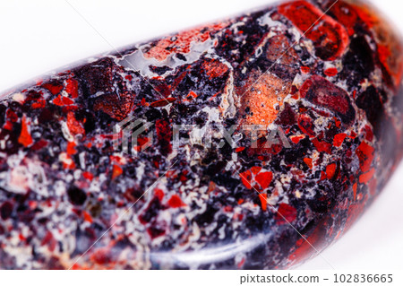 Macro mineral stone Jasper leopard on white background Macro mineral stone Jasper leopard on white background 102836665