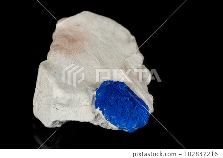 Macro mineral stone Azurite in siltstone against black background 102837216