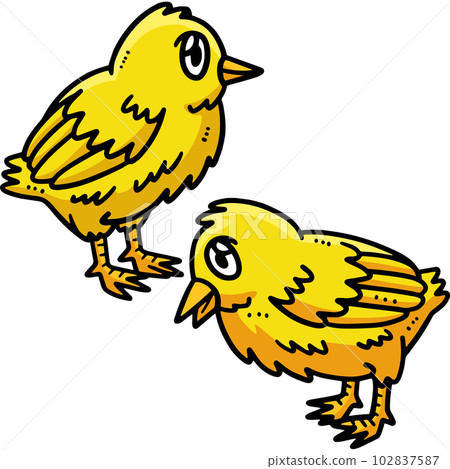 Chicks Cartoon Colored Clipart Illustration Chicks Cartoon Colored Clipart Illustration 102837587