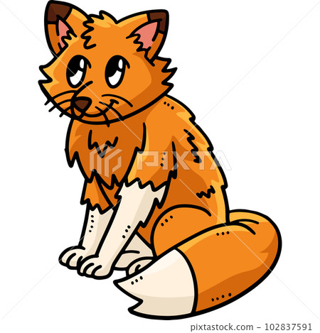 Baby Fox Cartoon Colored Clipart Illustration 102837591
