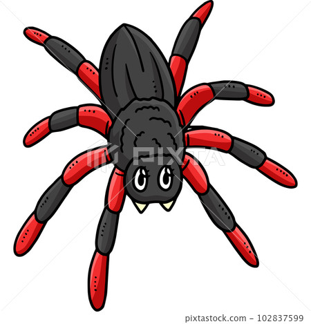 Mother Spider Cartoon Colored Clipart Illustration Mother Spider Cartoon Colored Clipart Illustration 102837599