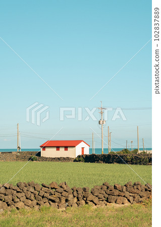 House and green field, Udo island olle trail in Jeju island, Korea House and green field, Udo island olle trail in Jeju island, Korea 102837889