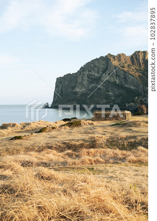 Winter of Seongsan Ilchulbong volcanic crater seaside olle trail in Jeju island, Korea Winter of Seongsan Ilchulbong volcanic crater seaside olle trail in Jeju island, Korea 102837895