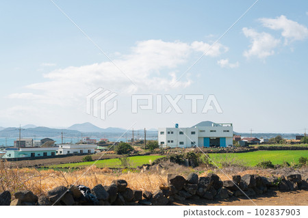 Udo island olle trail, seaside country village in Jeju island, Korea 102837903