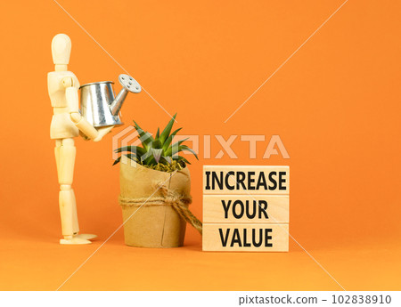 Increase your value symbol. Concept words Increase your value on wooden blocks on a beautiful orange table orange background. Businessman model. Business increase your value concept. Copy space. 102838910