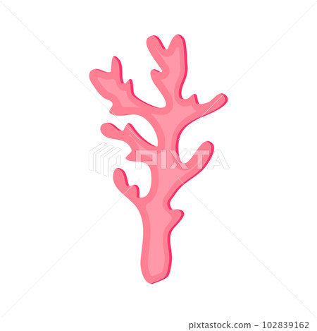 Pink coral. Isolated branch of coral on white background Pink coral. Isolated branch of coral on white background 102839162