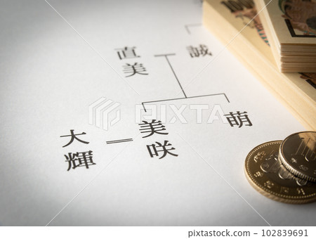 家譜 夫妻 女婿 女婿 繼承 102839691
