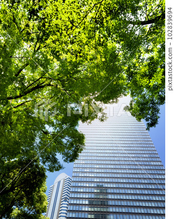 Shinjuku's skyscraper district with fresh greenery, Tokyo Shinjuku's skyscraper district with fresh greenery, Tokyo 102839694