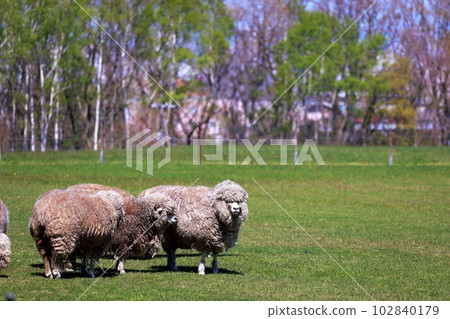 Hokkaido Sapporo City Sapporo Hitsujigaoka Observatory 102840179