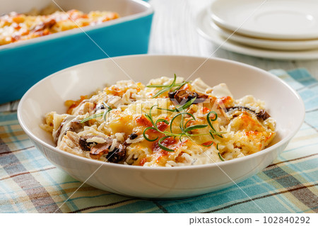tasty Chicken Mushroom Rice Casserole, top view tasty Chicken Mushroom Rice Casserole, top view 102840292