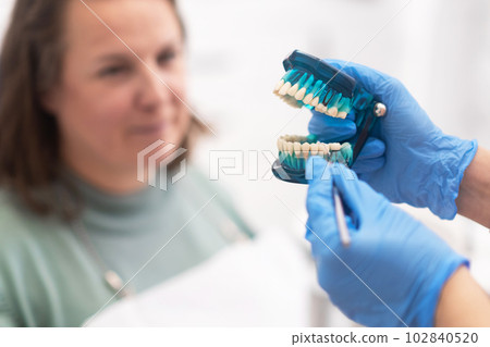 close up hand dentists hold dental teeth teaching model showing teeth, gum, root, caries, decay, plaque and enamel. close up hand dentists hold dental teeth teaching model showing teeth, gum, root, caries, decay, plaque and enamel. 102840520