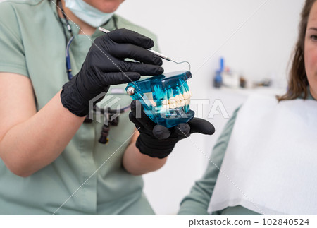 A dental professional, wearing gloves and a mask, holds a dental model of the upper and lower jaws, along with a dental tools  102840524