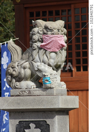 Masked guardian dog 102840791