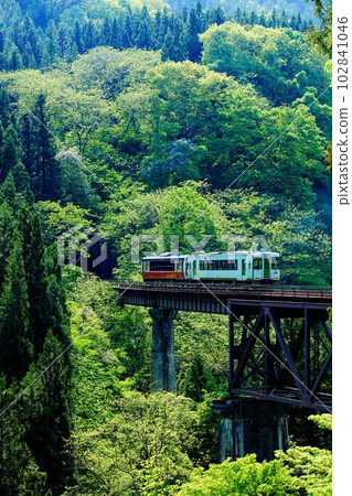 Tadami Line Train crossing the Takiya River Bridge in spring (Yanaizu Town, Fukushima Prefecture, early May afternoon) 102841046