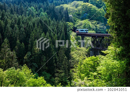 春天穿過瀧谷川大橋的只見線火車(福島縣柳津町,5月初的下午) 春天穿過瀧谷川大橋的只見線火車(福島縣柳津町,5月初的下午) 102841051