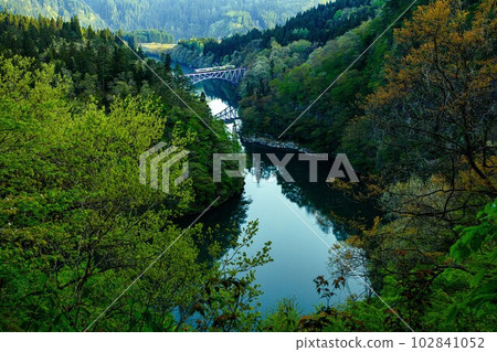 只見線列車穿過鮮綠的第一隻只見川大橋(福島縣三島町,4月下旬清晨) 只見線列車穿過鮮綠的第一隻只見川大橋(福島縣三島町,4月下旬清晨) 102841052