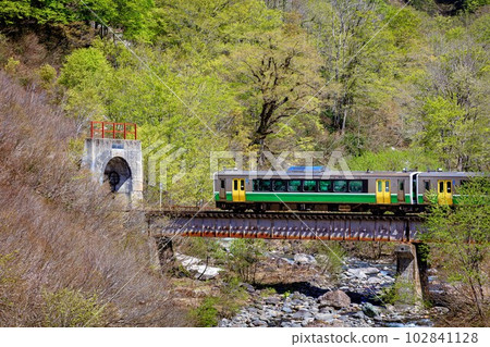 春天進入六十里越隧道的只見線列車(福島縣只見町,5月初) 春天進入六十里越隧道的只見線列車(福島縣只見町,5月初) 102841128