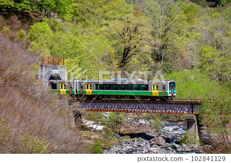 春天進入六十里越隧道的只見線列車(福島縣只見町,5月初) 春天進入六十里越隧道的只見線列車(福島縣只見町,5月初) 102841129