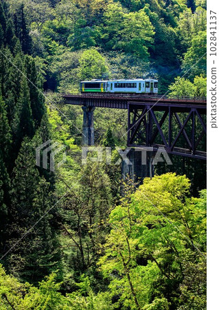Tadami Line Train crossing the Takiya River Bridge in spring (Yanaizu Town, Fukushima Prefecture, early May afternoon) Tadami Line Train crossing the Takiya River Bridge in spring (Yanaizu Town, Fukushima Prefecture, early May afternoon) 102841137