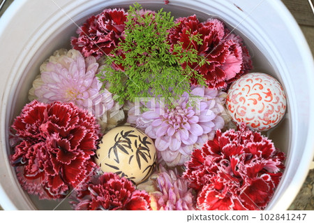 Flower petals floating in the water, a sense of the season 102841247