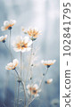Image of tightly Realistic multi type of Flowers without leaf, pale colorful color style , minimal background for phone or desktop wallpaper. 102841795