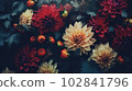Image of tightly Realistic multi type of Flowers without leaf, pale colorful color style , minimal background for phone or desktop wallpaper. 102841796