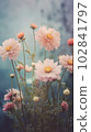 Image of tightly Realistic multi type of Flowers without leaf, pale colorful color style , minimal background for phone or desktop wallpaper. 102841797