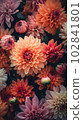 Image of tightly Realistic multi type of Flowers without leaf, pale colorful color style , minimal background for phone or desktop wallpaper. 102841801