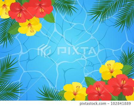 Hibiscus and water surface background frame 102841889