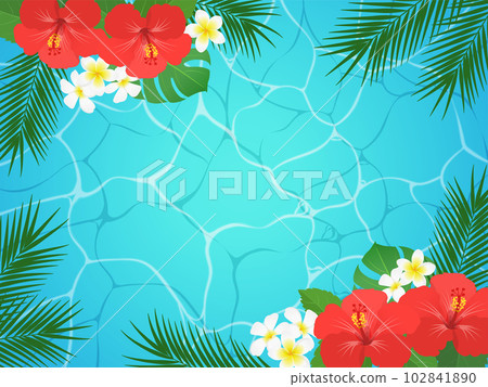 芙蓉和水面背景框 102841890