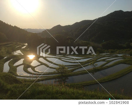 晚春早晨的小山千枚田,朝陽映照在梯田的表面和山脊的樹木上 晚春早晨的小山千枚田,朝陽映照在梯田的表面和山脊的樹木上 102841908