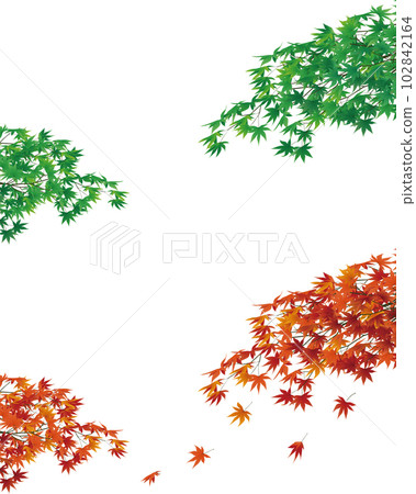 標題 : 藍楓和秋葉，季節變化的矢量圖 102842164