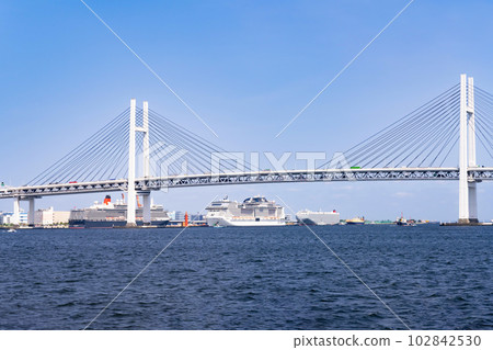 神奈川縣橫濱市 從豪華遊輪上看到的豪華遊輪和橫濱的景色 102842530