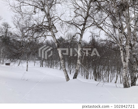 Powder snow ski resort Powder snow ski resort 102842721