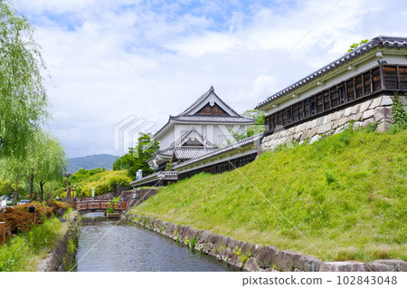 Shoryuji Castle in Kyoto Shoryuji Castle in Kyoto 102843048