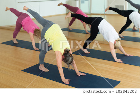 Group of active mature women practicing yoga Group of active mature women practicing yoga 102843208