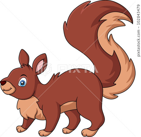 Cute squirrel cartoon on white background 102843479