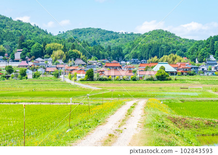tranquil rural landscape 102843593