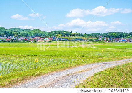 tranquil rural landscape tranquil rural landscape 102843599