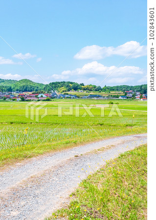 tranquil rural landscape 102843601